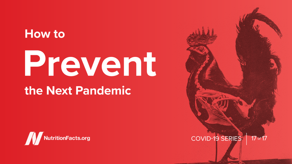 How to Prevent the Next Pandemic