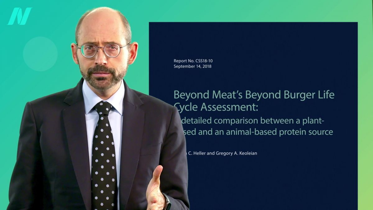 The Environmental Impacts of Plant-Based Meat Substitutes