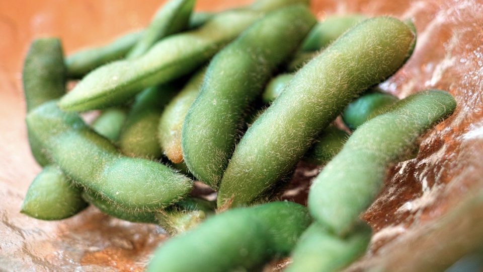 Can Soy Prevent and Treat Prostate Cancer?