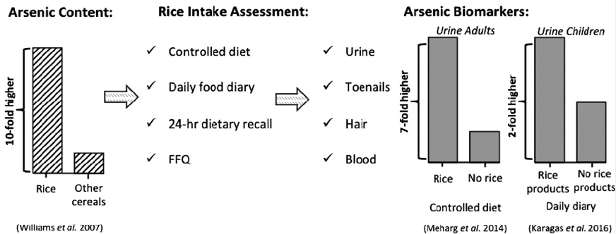 Is There Arsenic In Rice How Much Rice Is Too Much Frank Herd