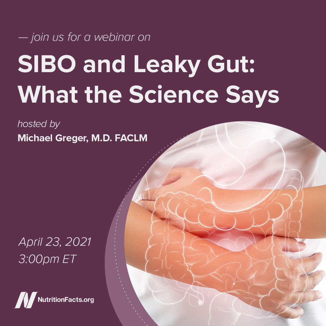SIBO and Leaky Gut: What the Science Says