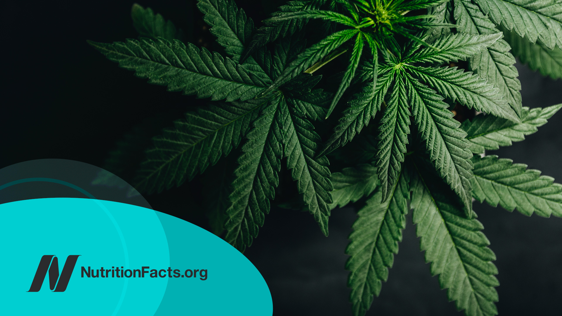 Cannabis for IBD (Inflammatory Bowel Disease)