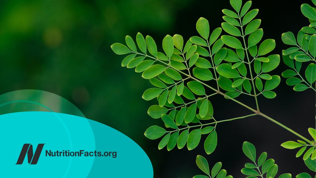 The Benefits of Moringa: Is It the Most Nutritious Food?