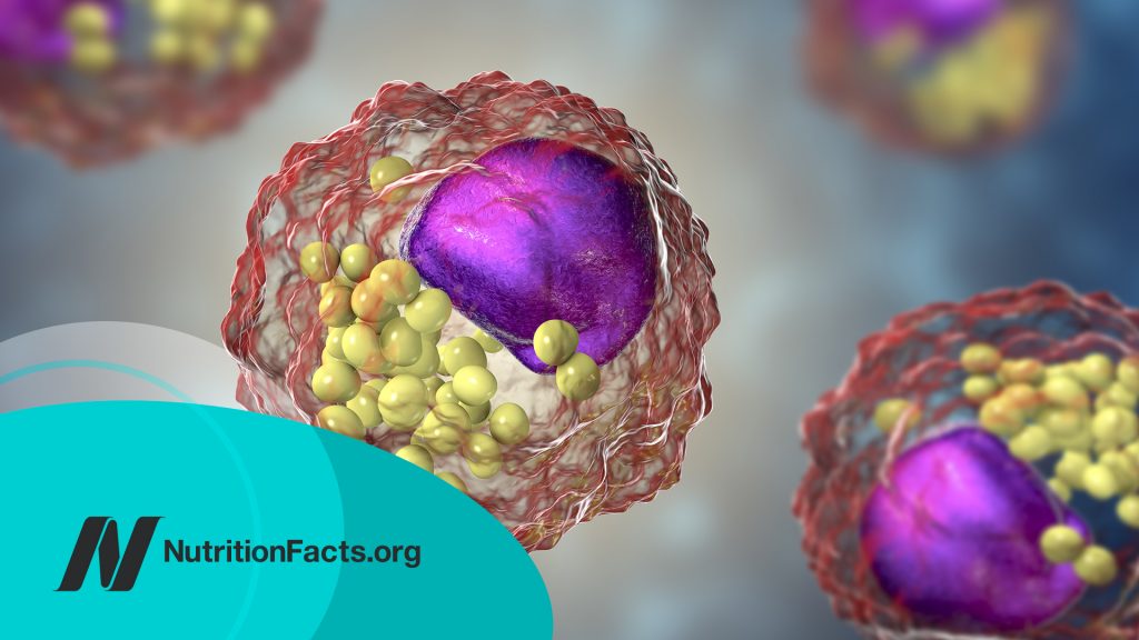 3D illustration of cells that contain lipid droplets