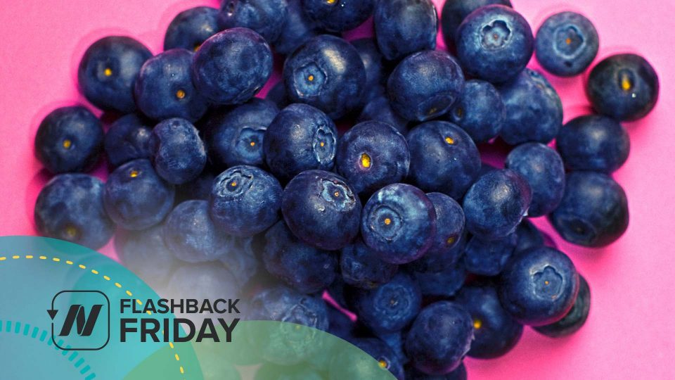 Flashback Friday: Blueberries for a Diabetic Diet and DNA Repair