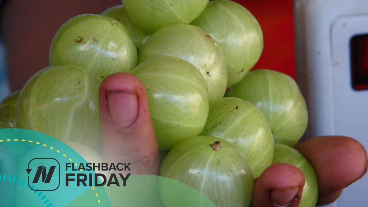 Indian gooseberries