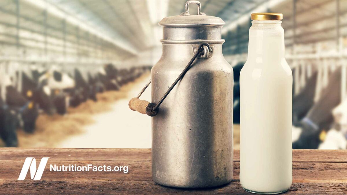 milk containers with bovine farm in the background