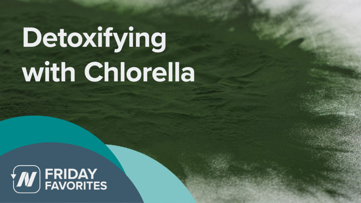 chlorella powder