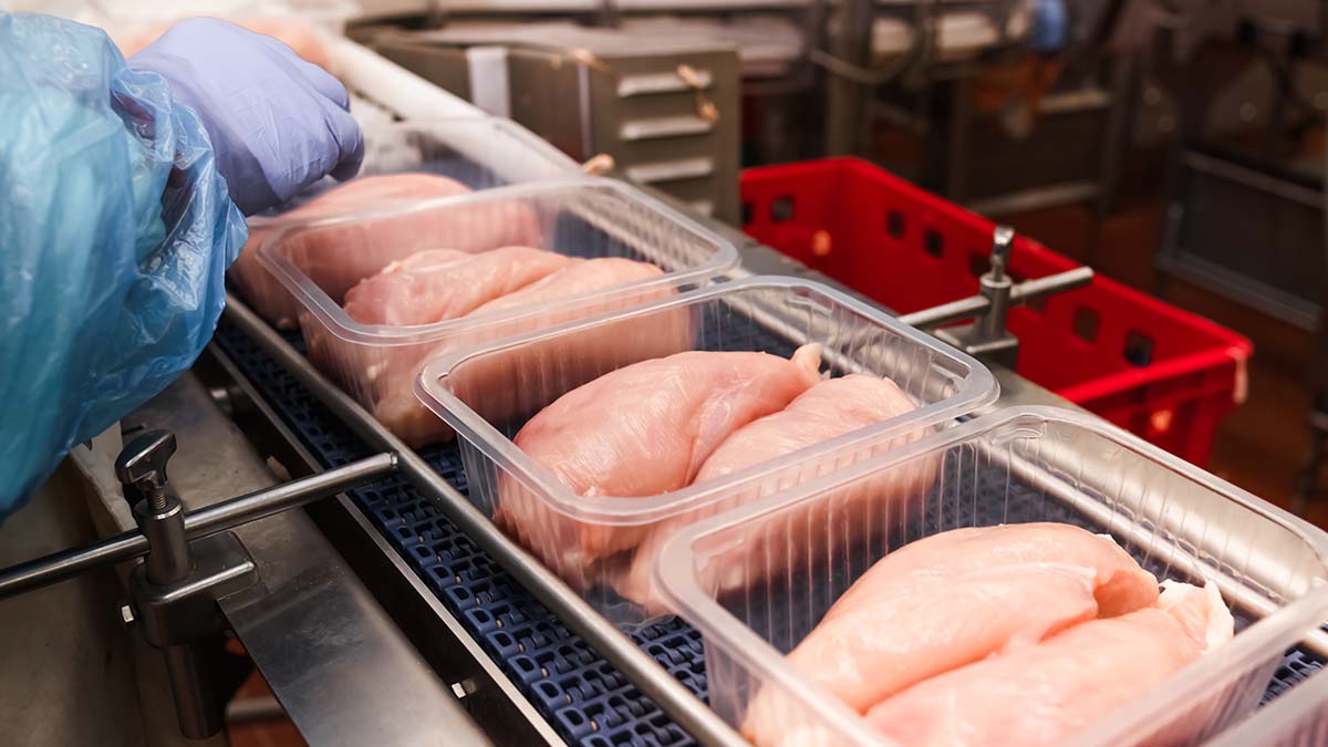 9 Out of 10 Retail Turkey Samples Contaminated With Fecal Bacteria