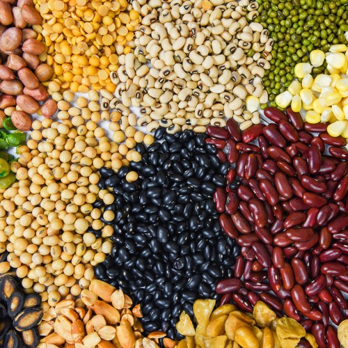 Black Beans Nutrition Facts and Health Benefits