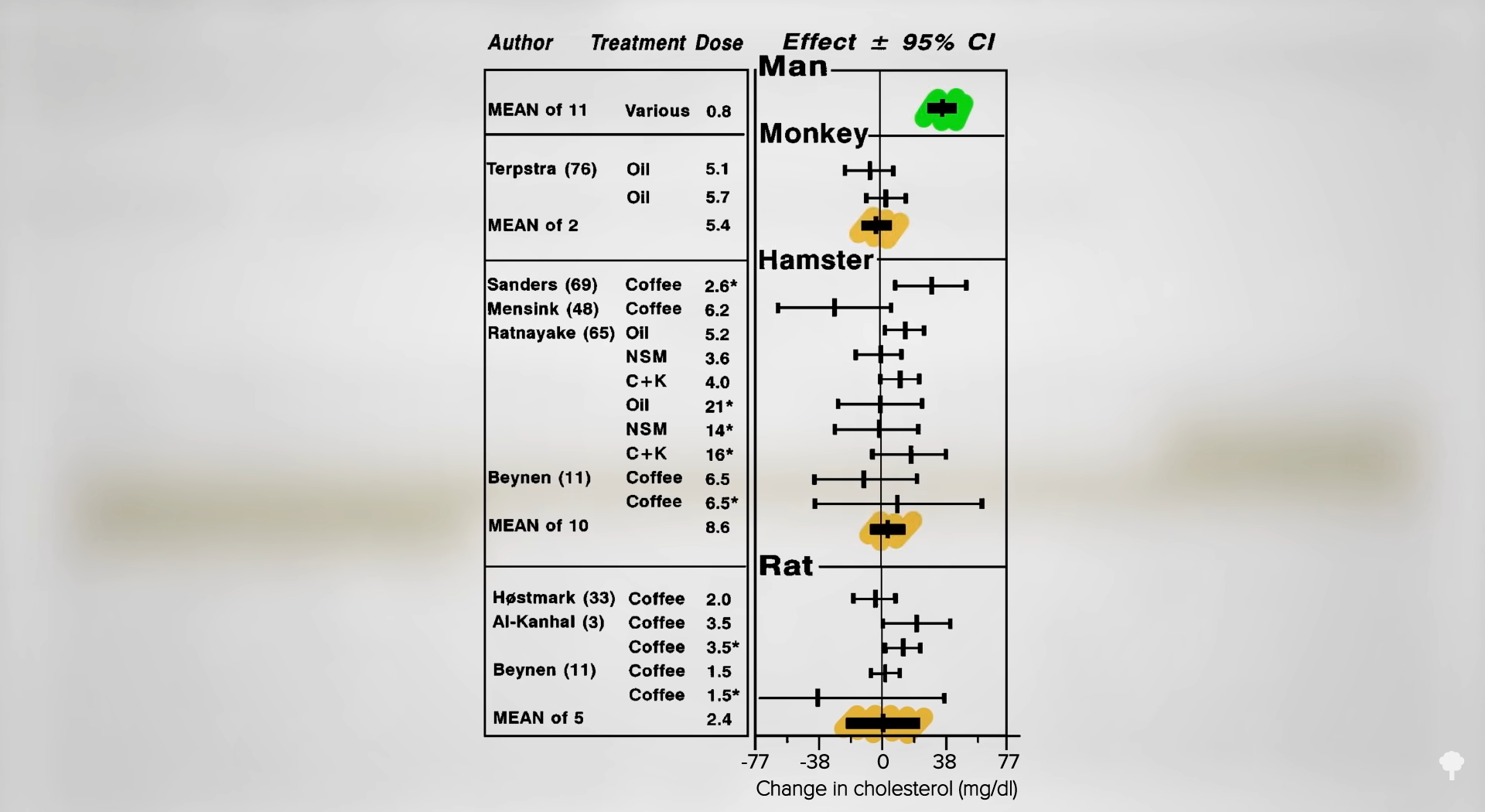 Caffeine and cholesterol levels