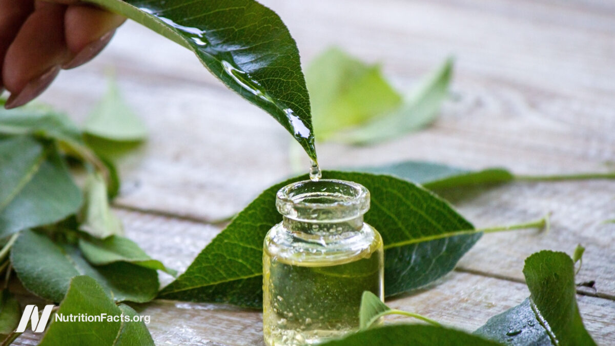 Safety Concerns with Tea Tree Oil?