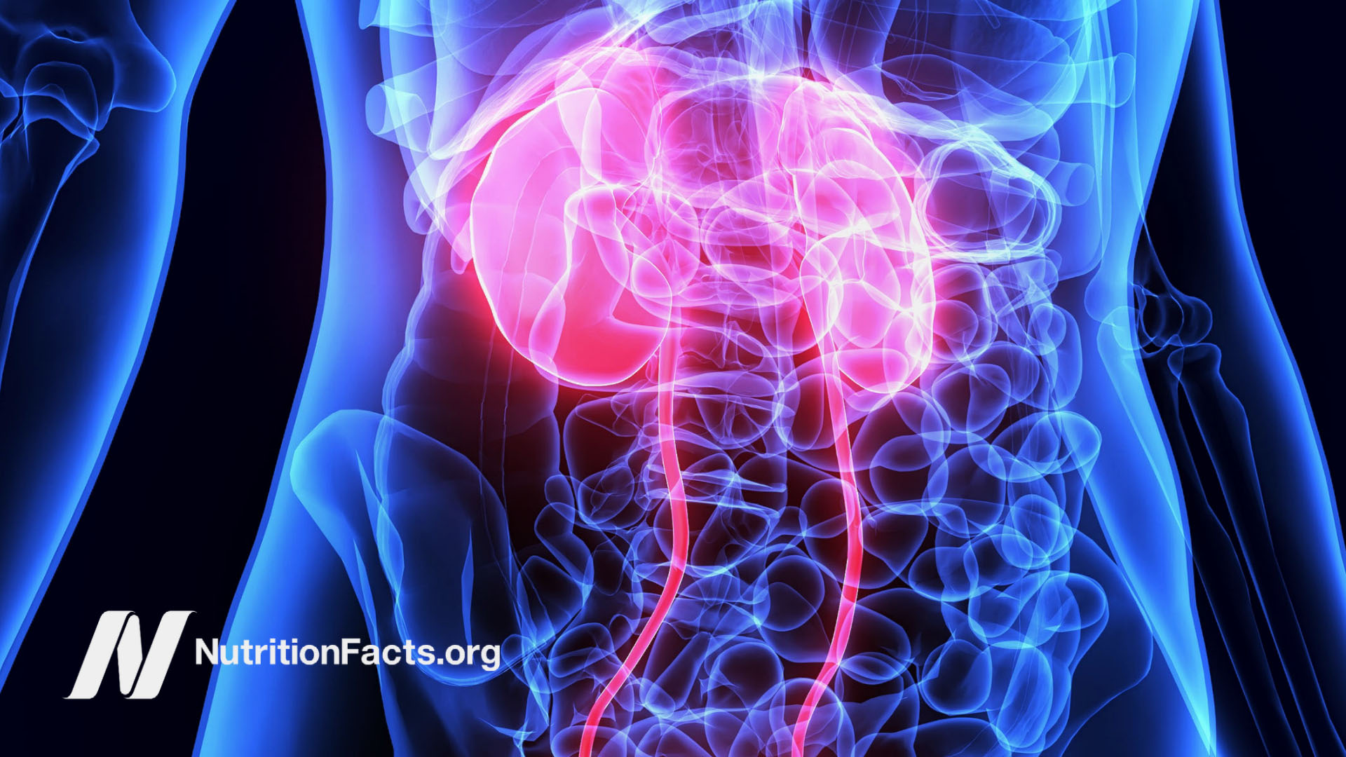 Is All Protein Healthy?