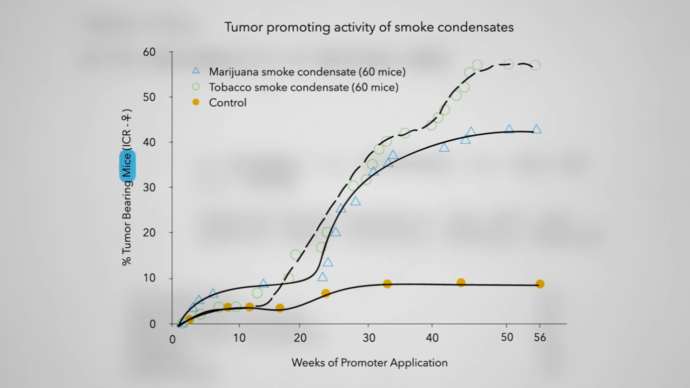 Does Smoking Weed Cause Lung Cancer?