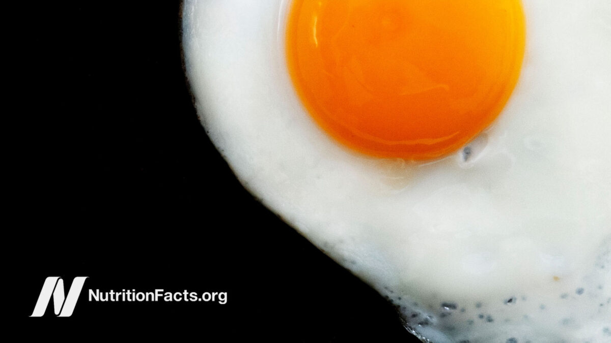 Fried egg with the yolk on a black background