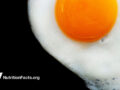 Fried egg with the yolk on a black background