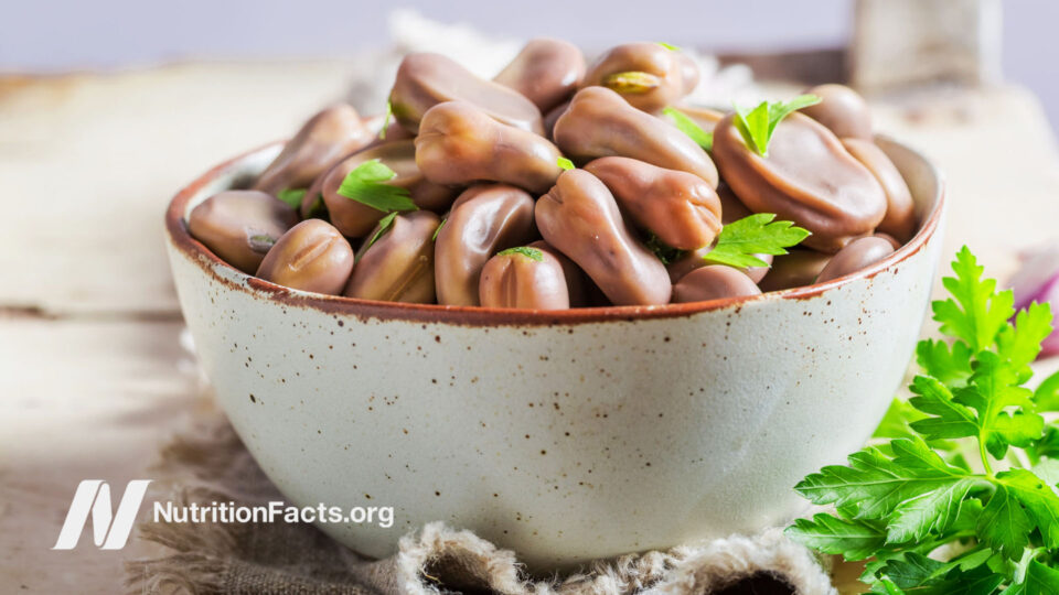 Fava beans in an enameled bowl