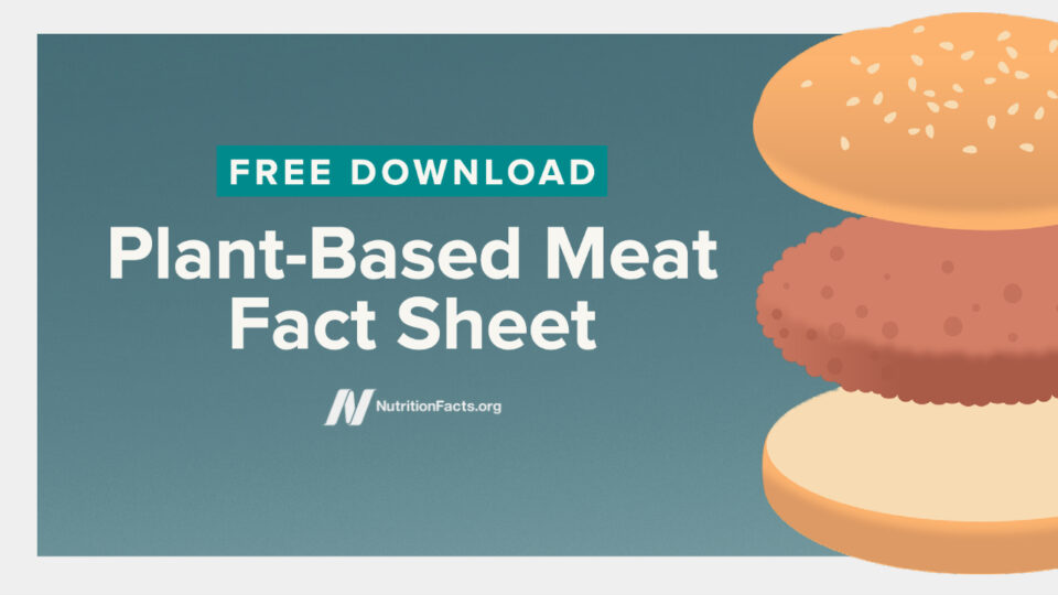 Plant-Based Meat Fact Sheet