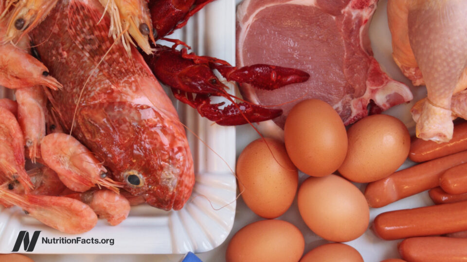 Assortment of seafood, meat, and eggs