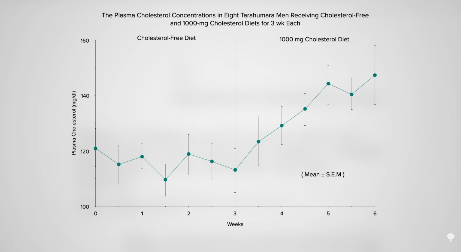 What Is the Gladiator Diet and How Do Vegetarian Athletes Stack Up