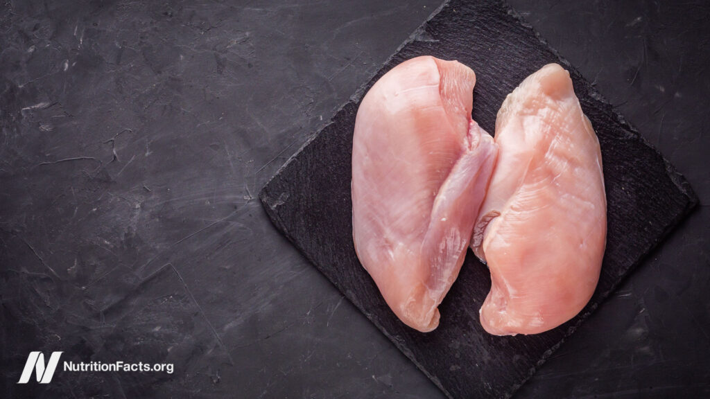 Bacteria and Kosher and Organic Chicken