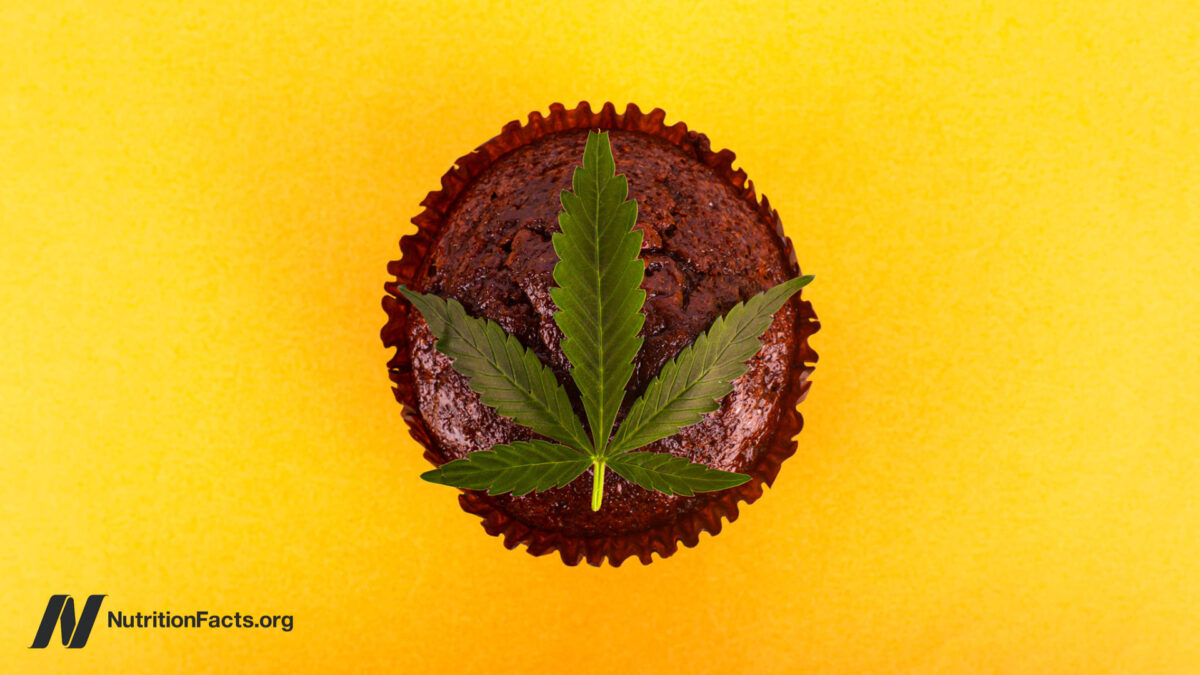 Is It Safe to Consume Cannabis Edibles?