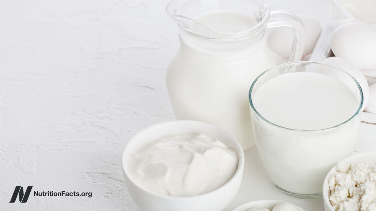 Dairy Consumption and Cancers of the Prostate and Colon