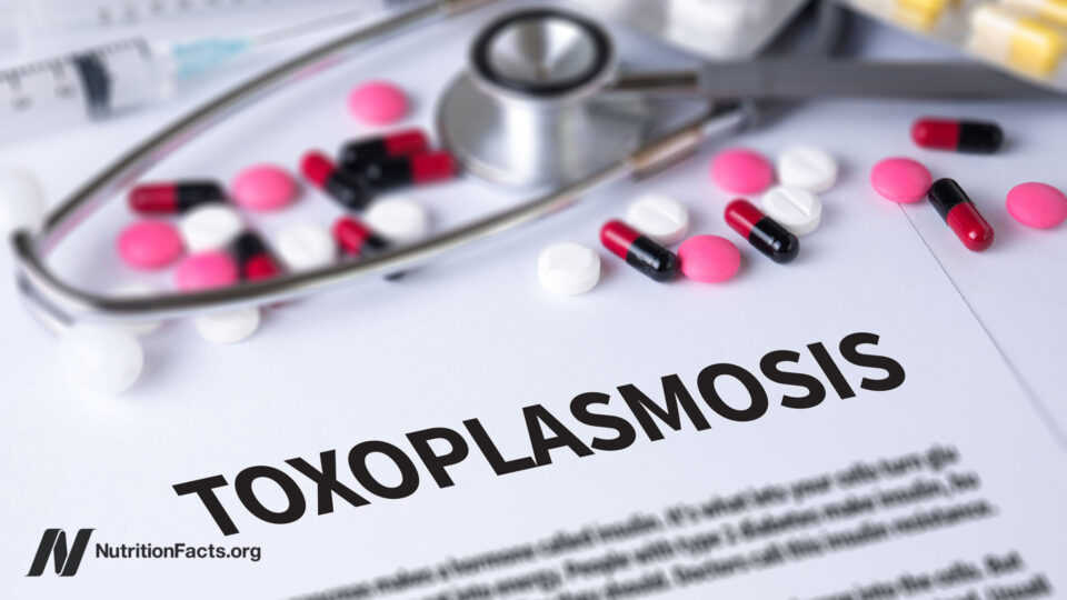Toxoplasmosis Prevention