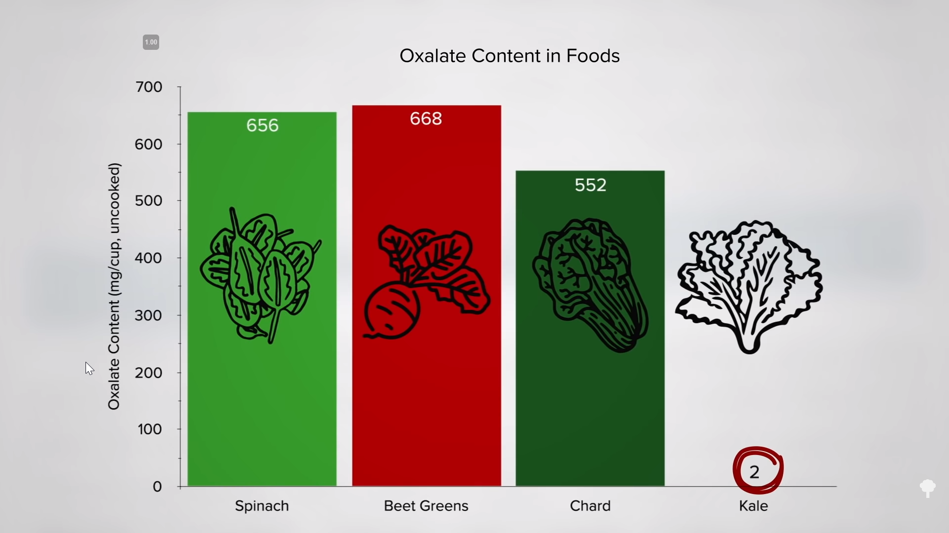 oxalate rich foods