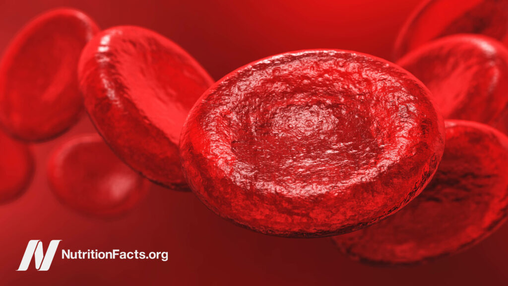 Red blood cells illustration