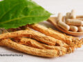 Ginseng root and supplement capsules on a white surface