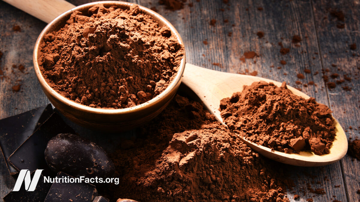 Increasing Muscle Strength and Function in Older Adults with Cocoa Powder