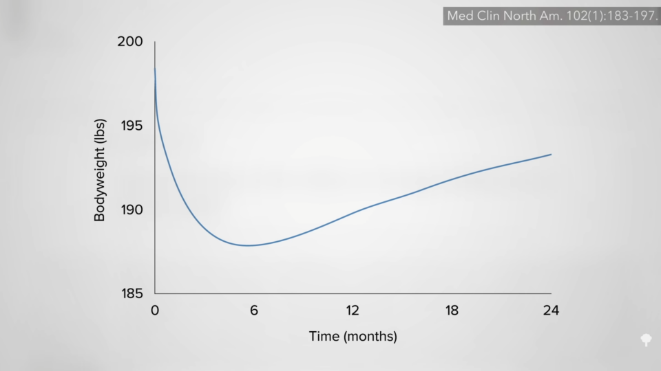 Why Weight Loss Plateaus on Diets