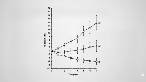 Best MCT Oil for Keto 2025: How to Choose & Use It to Boost Ketones