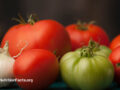 Onions and tomatoes sitting together