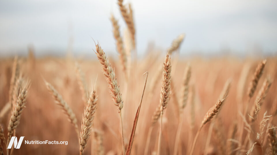 How Healthy Are Ancient Grains? 