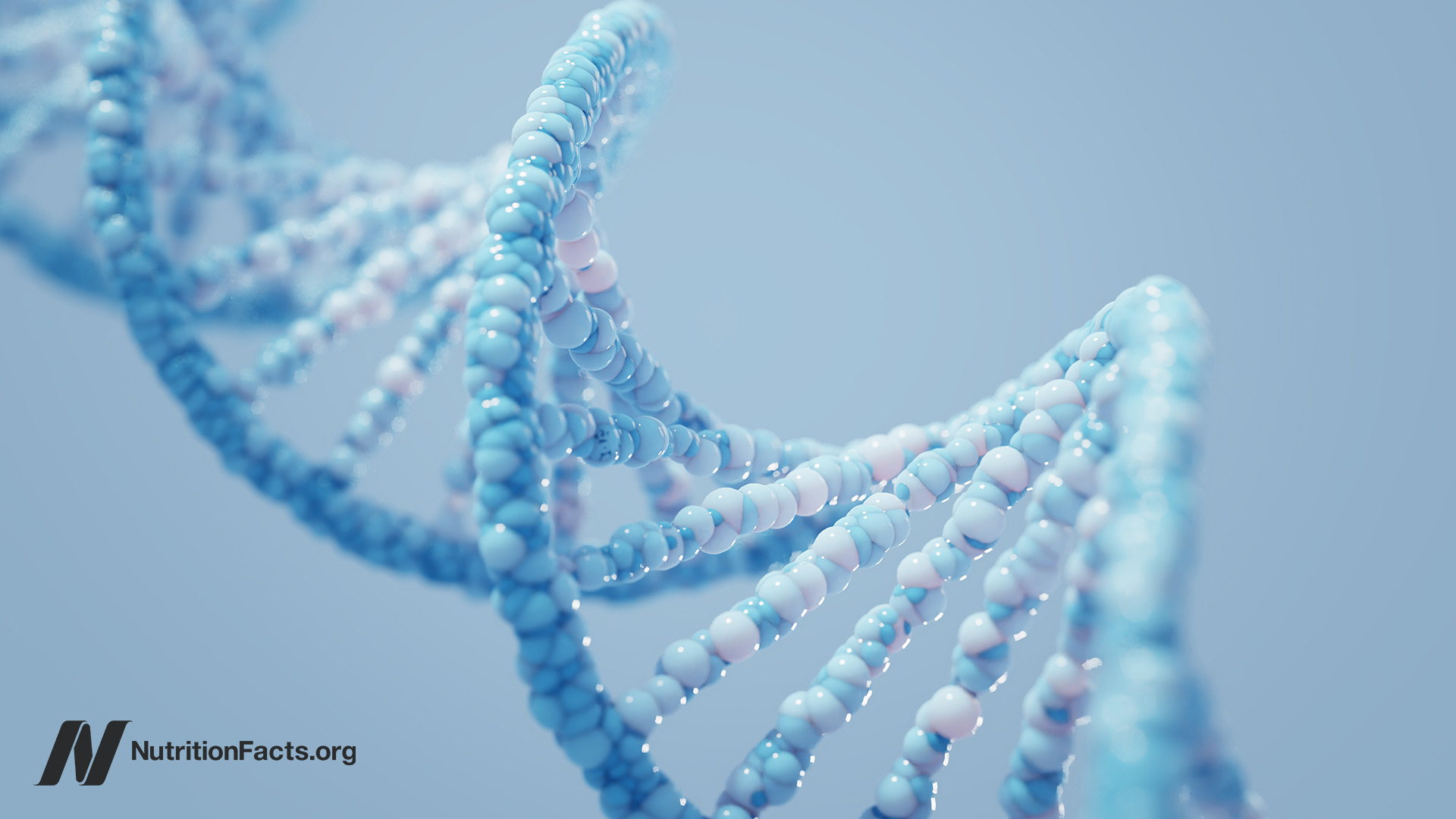 What Is the Role of Our Genes in the Obesity Epidemic?