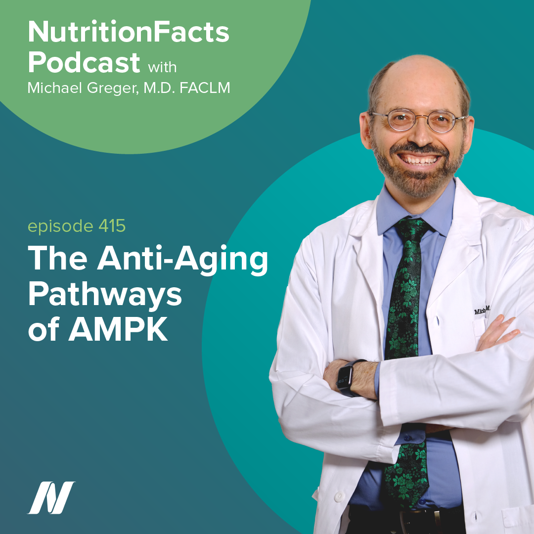 The Anti-Aging Pathways of AMPK