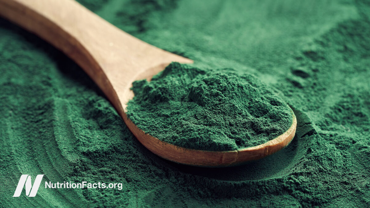 Spirulina powder scooped up with a wooden spoon