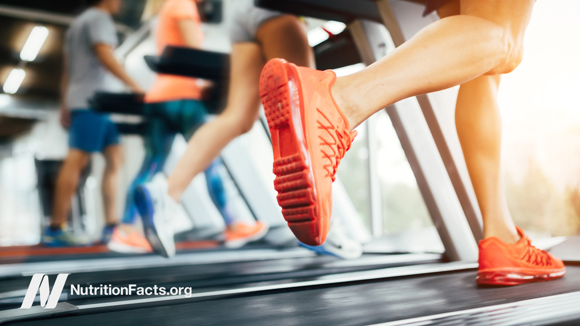 People exercising on treadmills at the gym