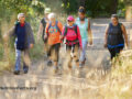 Group of adults of various ages walking together outdoors