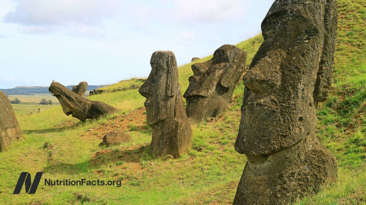 Easter island statues on a sunny day