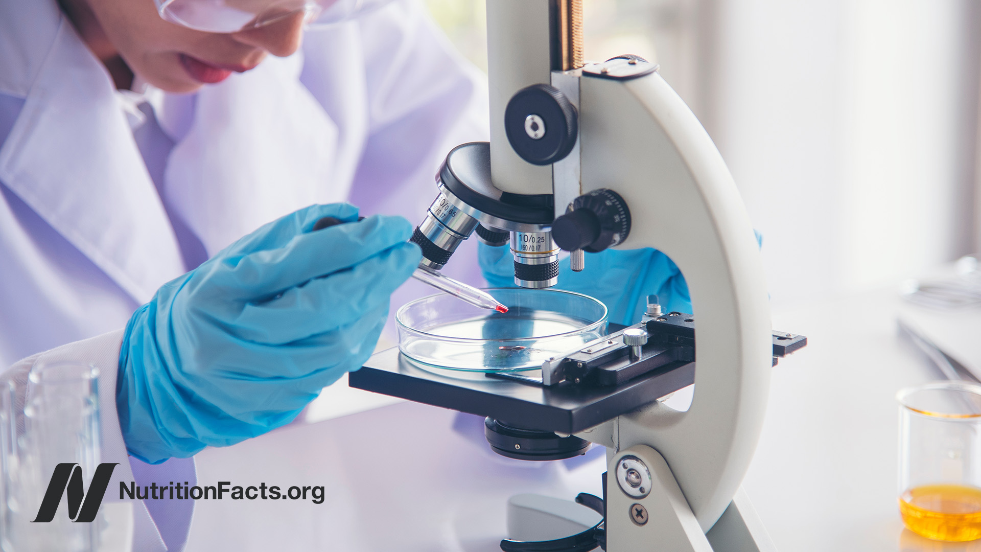 Scientist setting up their slide for the microscope