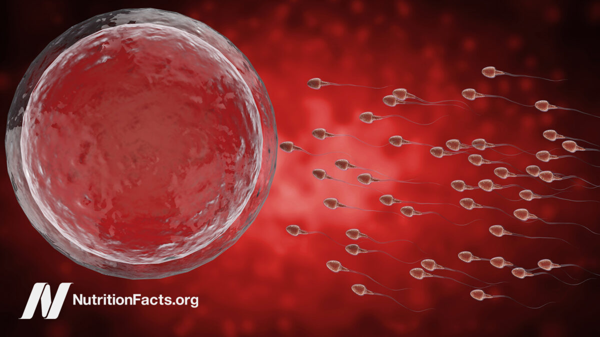 Digital illustration of sperm cells chasing an egg cell