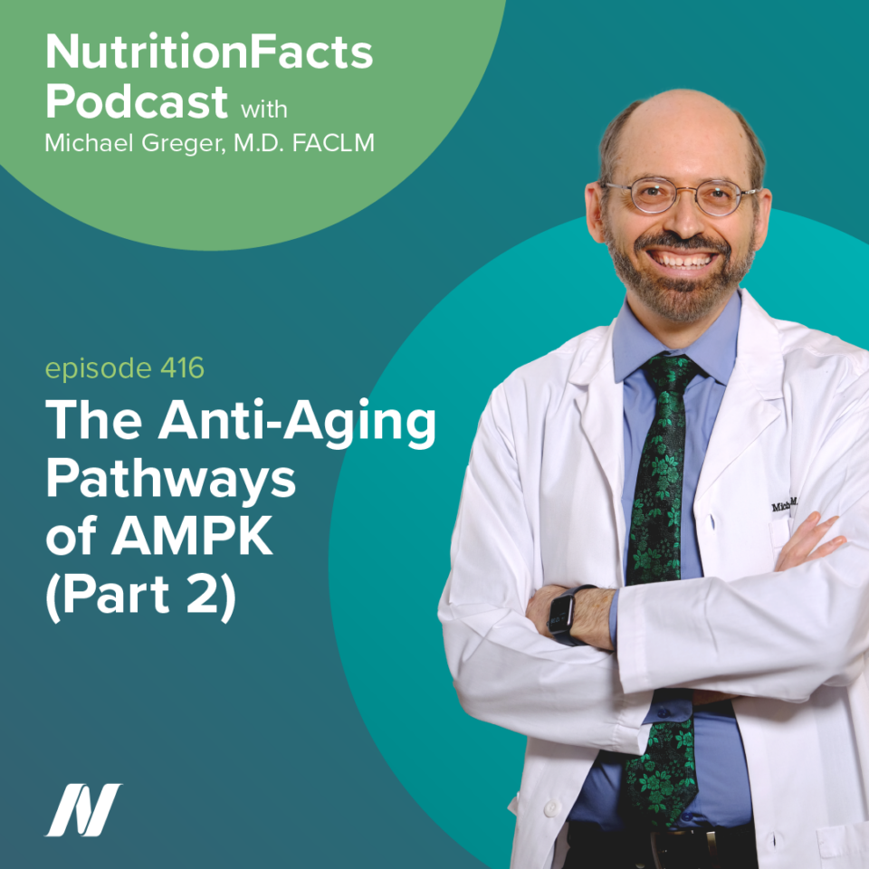 The Anti-Aging Pathways of AMPK (Part 2)