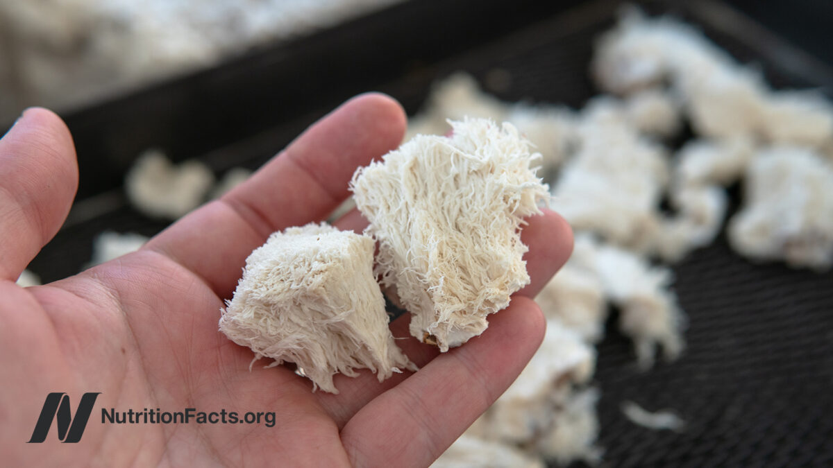 Lion’s mane mushrooms in a hand