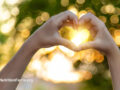 hands forming a heart shape against the sunlight through the trees