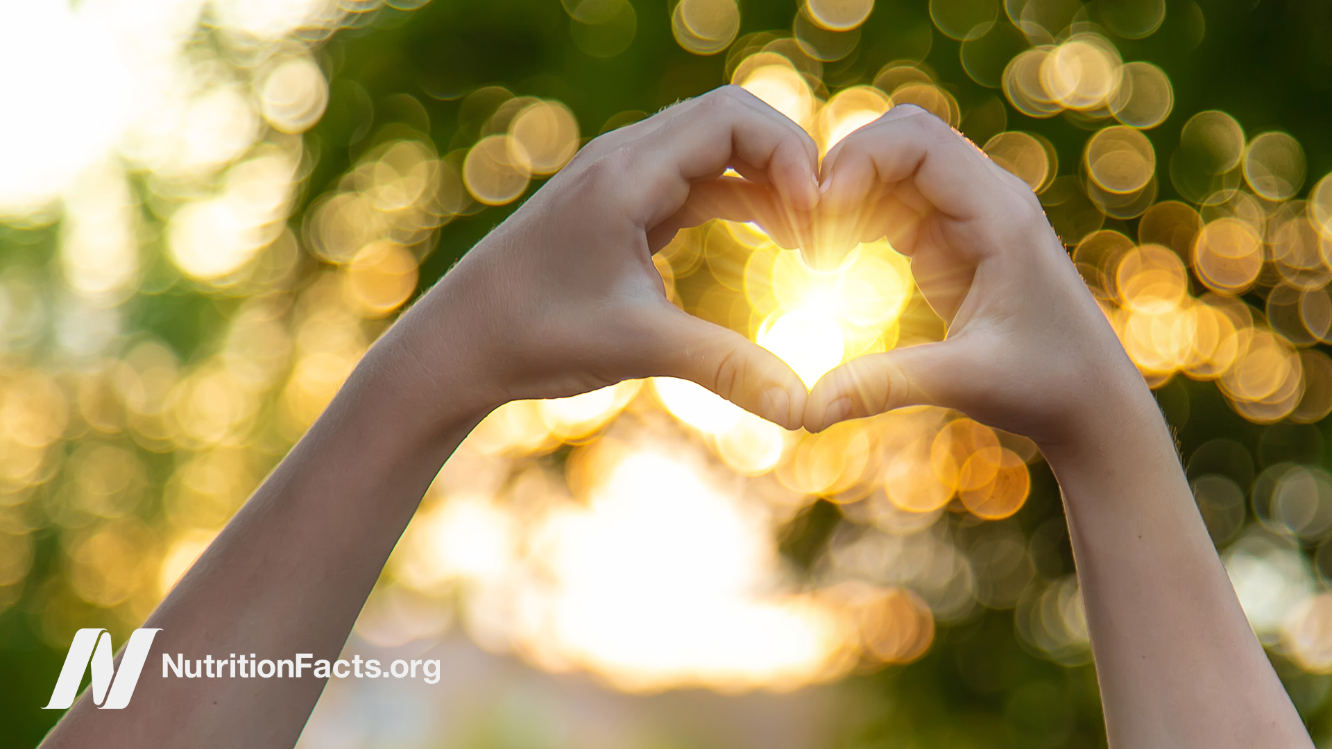 hands forming a heart shape against the sunlight through the trees