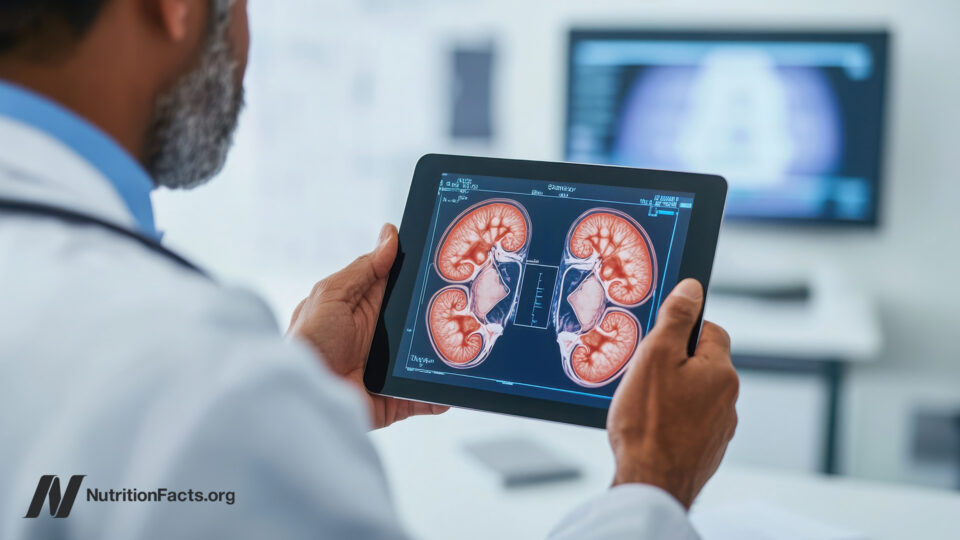 Obesity’s Impacts on Our Immune System and Kidney and Liver Diseases 