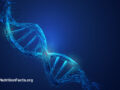 Drawing of a double helix on a blue background